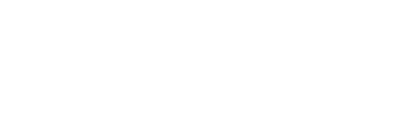 Domínio de Negócios — O Ciclo